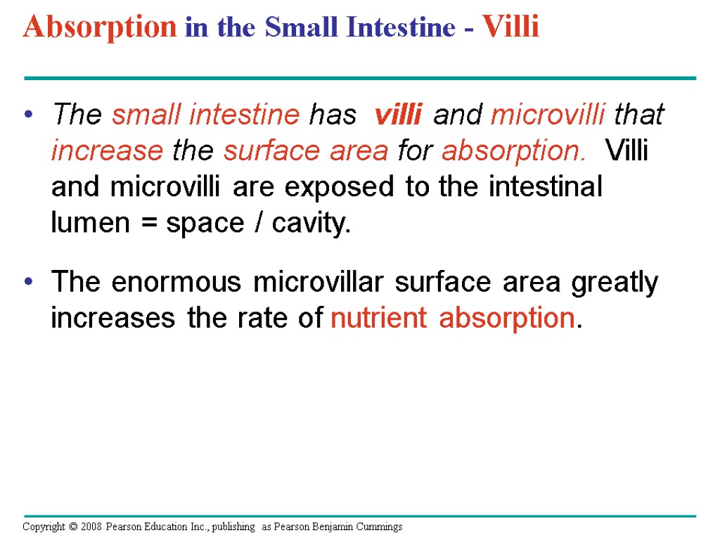 Absorption in the Small Intestine - Villi The small intestine has villi and microvilli